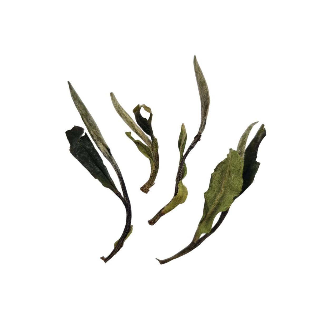 Бай Му Дань (Б)