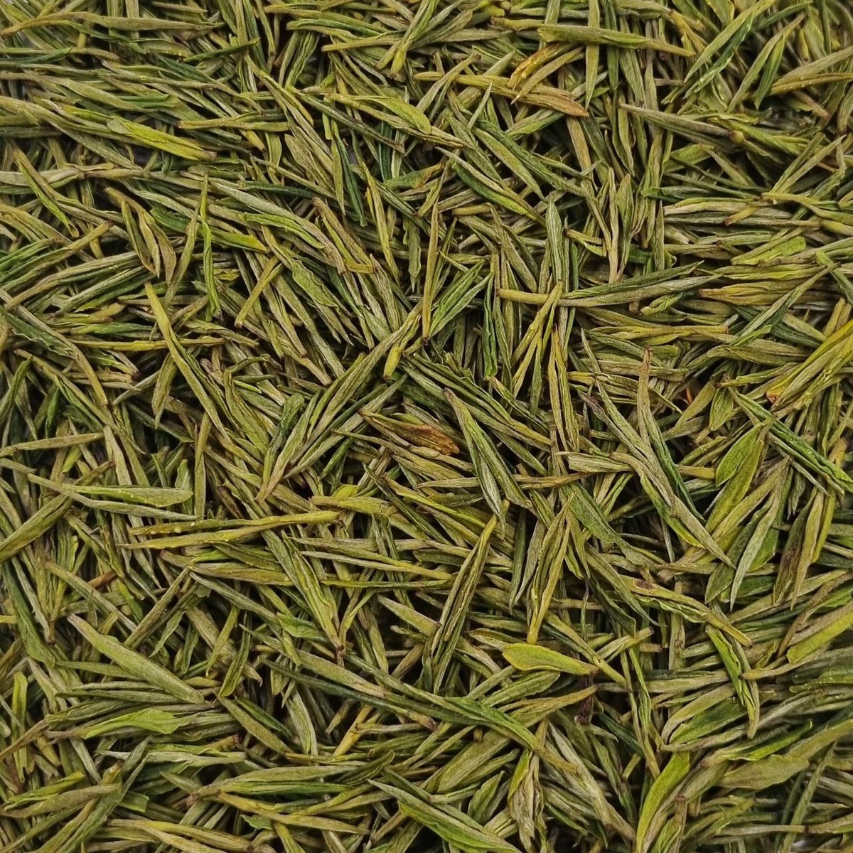 Ань Цзи Бай Ча 2025 (П)