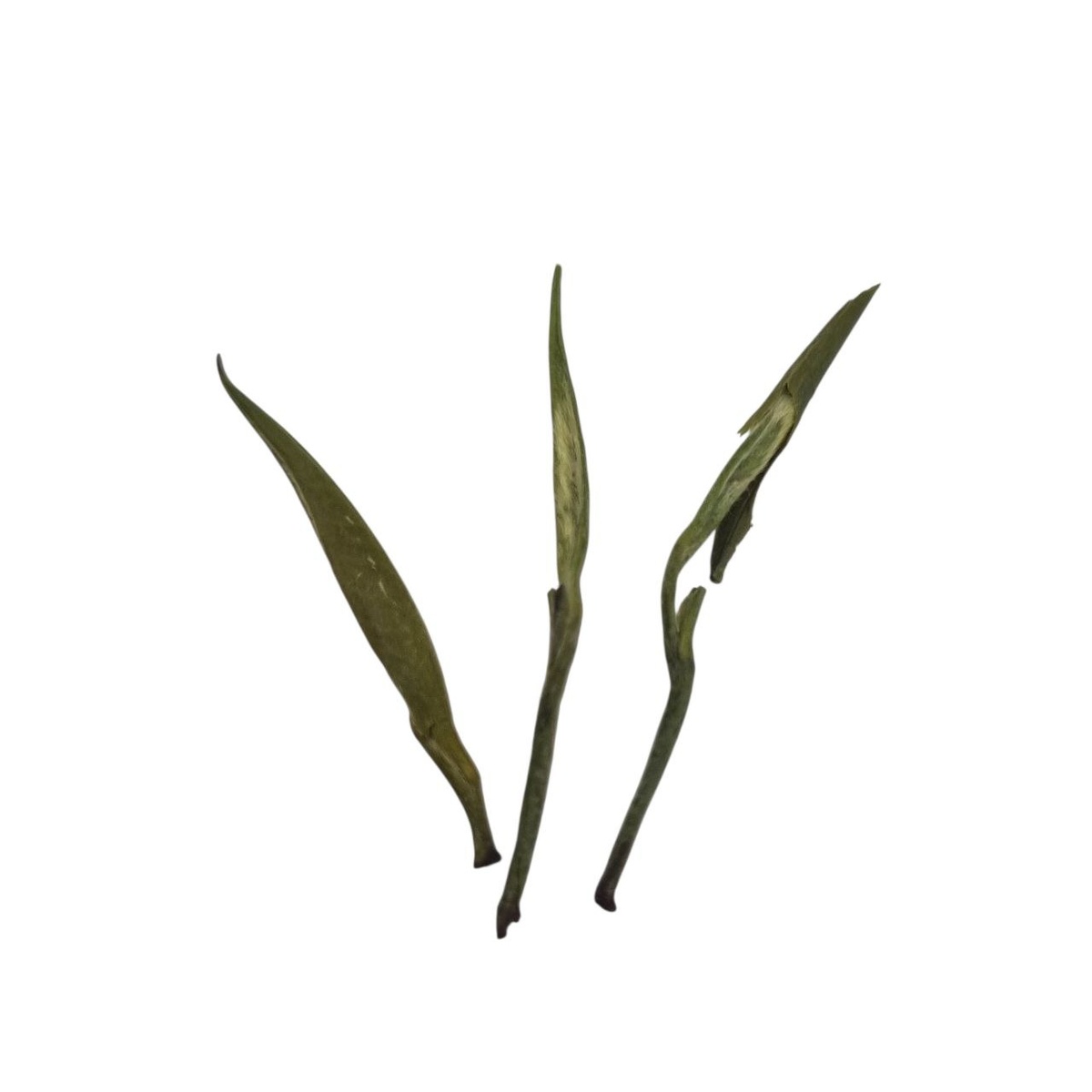 Цзюнь Шань Инь Чжэнь Б