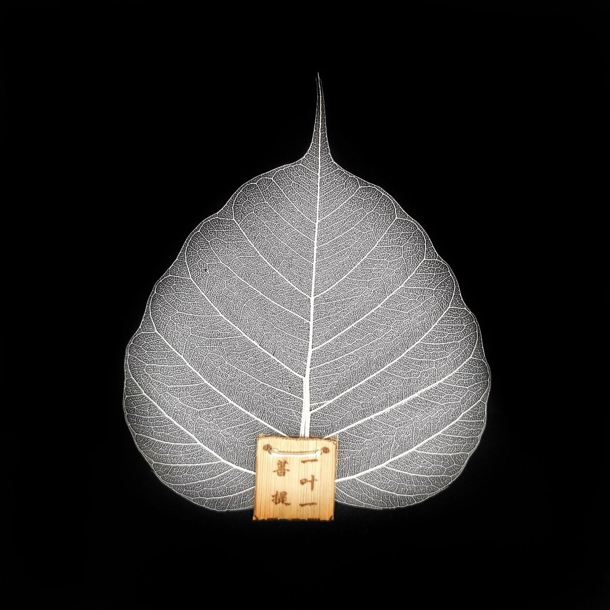 Сито "Лист дерева Бодхи" 2