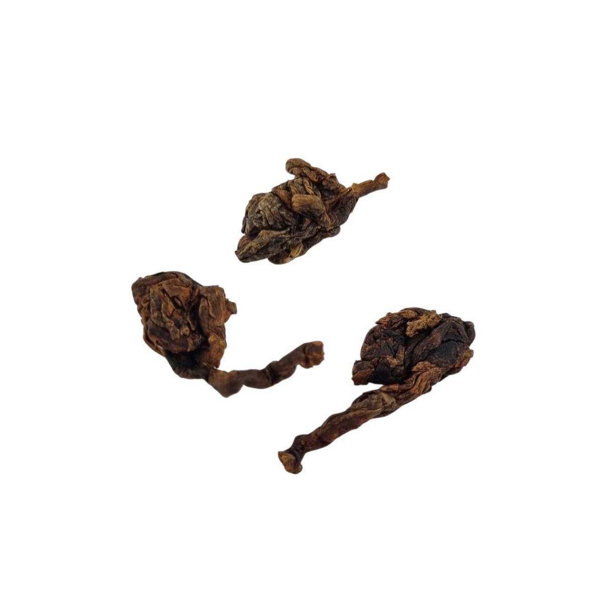 Габа Шань Линь Си Улун 2025 (Л)