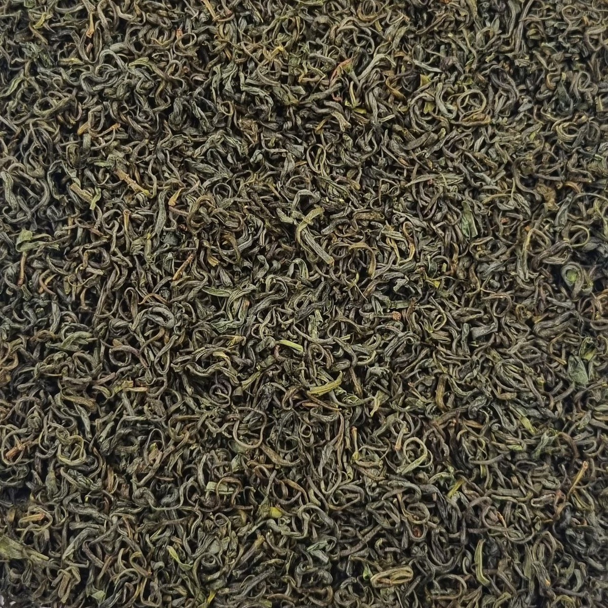 Е Шэн Люй Ча 2025 (К)