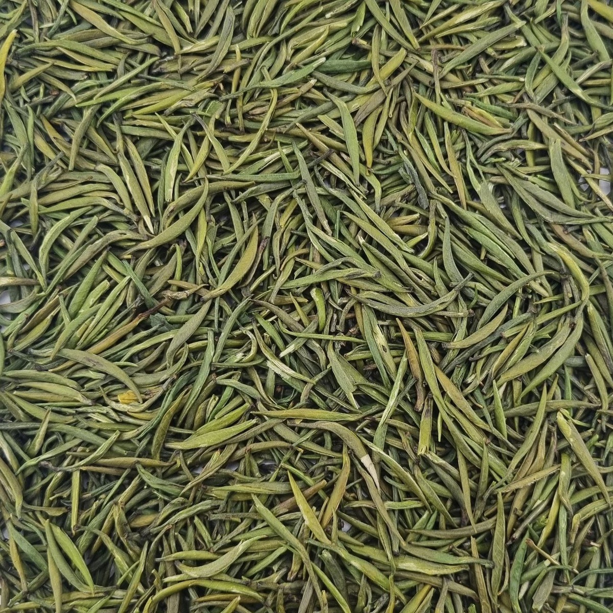 Цзюнь Шань Инь Чжэнь Б