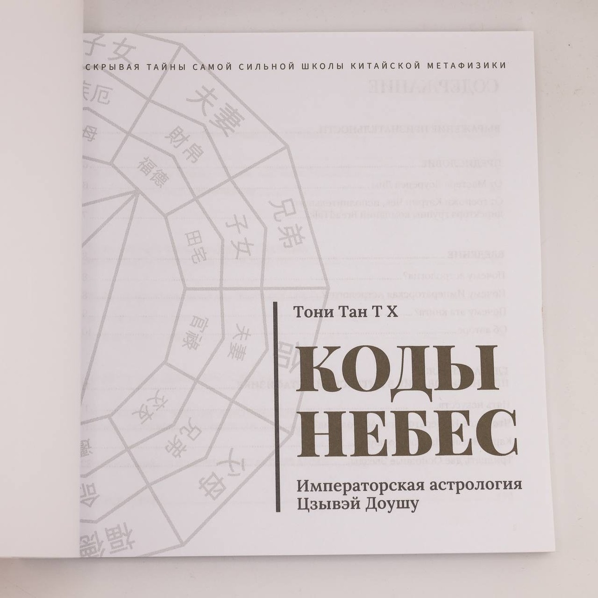 Книга "Коды небес". Тони Тан