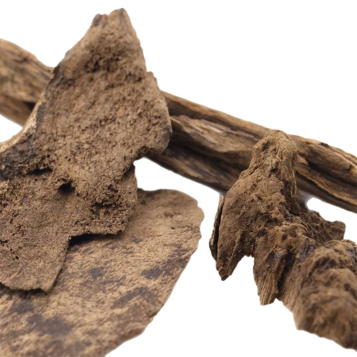 Щепа Вьетнамская