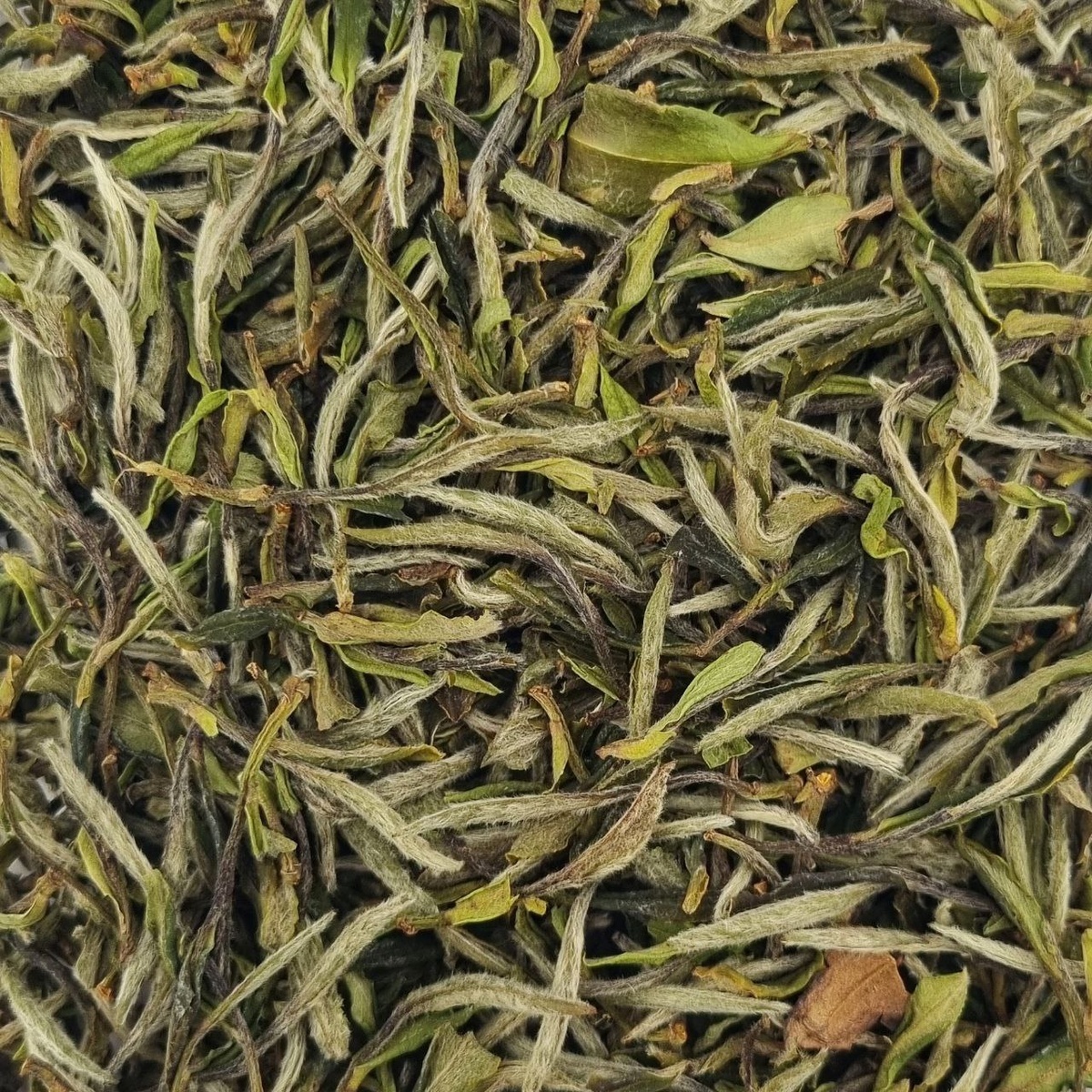 Бай Му Дань (Б)