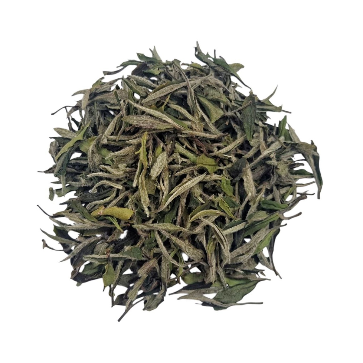 И Цзи Бай Му Дань 2025 (I) 