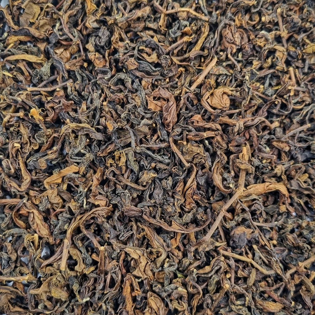 Габа Пин Линь Улун 2025 (Л)