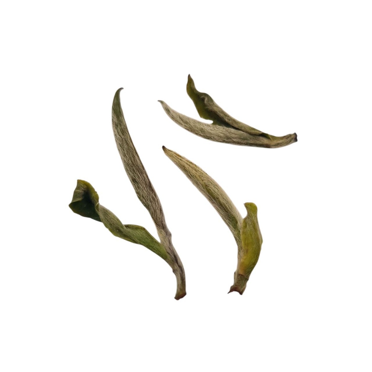 Бай Хао Инь Чжэнь 2025 (I)