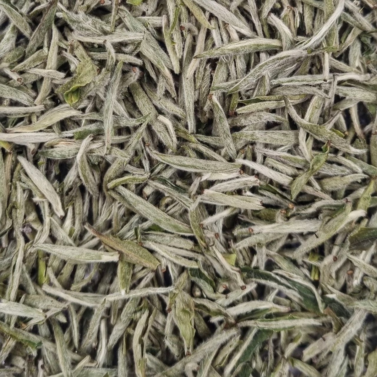 Бай Хао Инь Чжэнь (К)