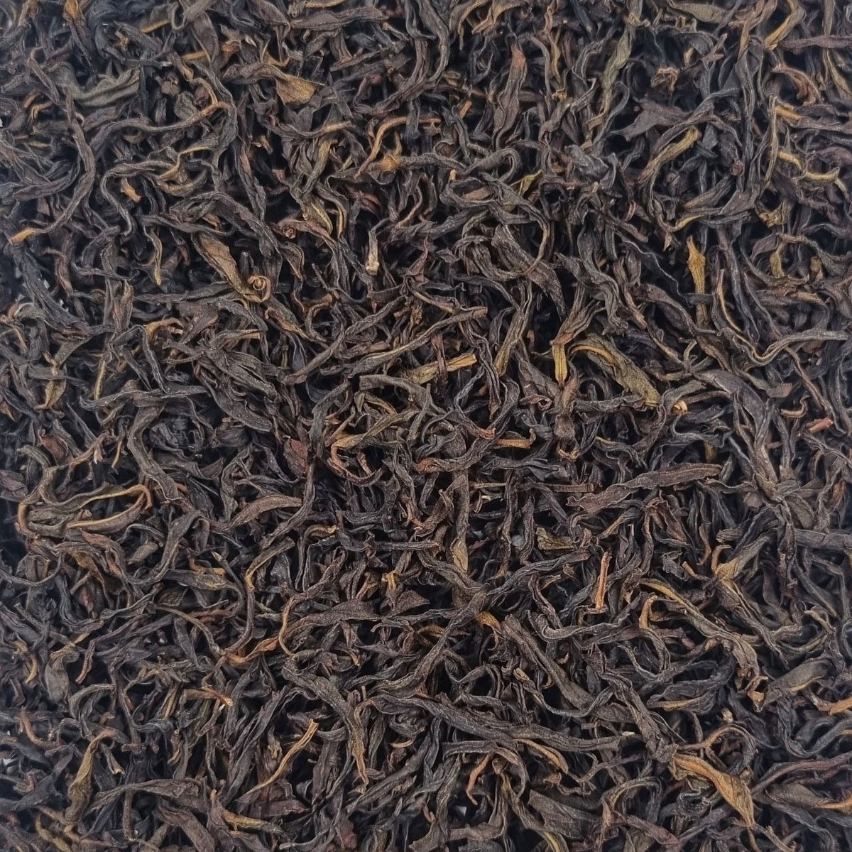 Сюнь Ди Цзай (АИ)