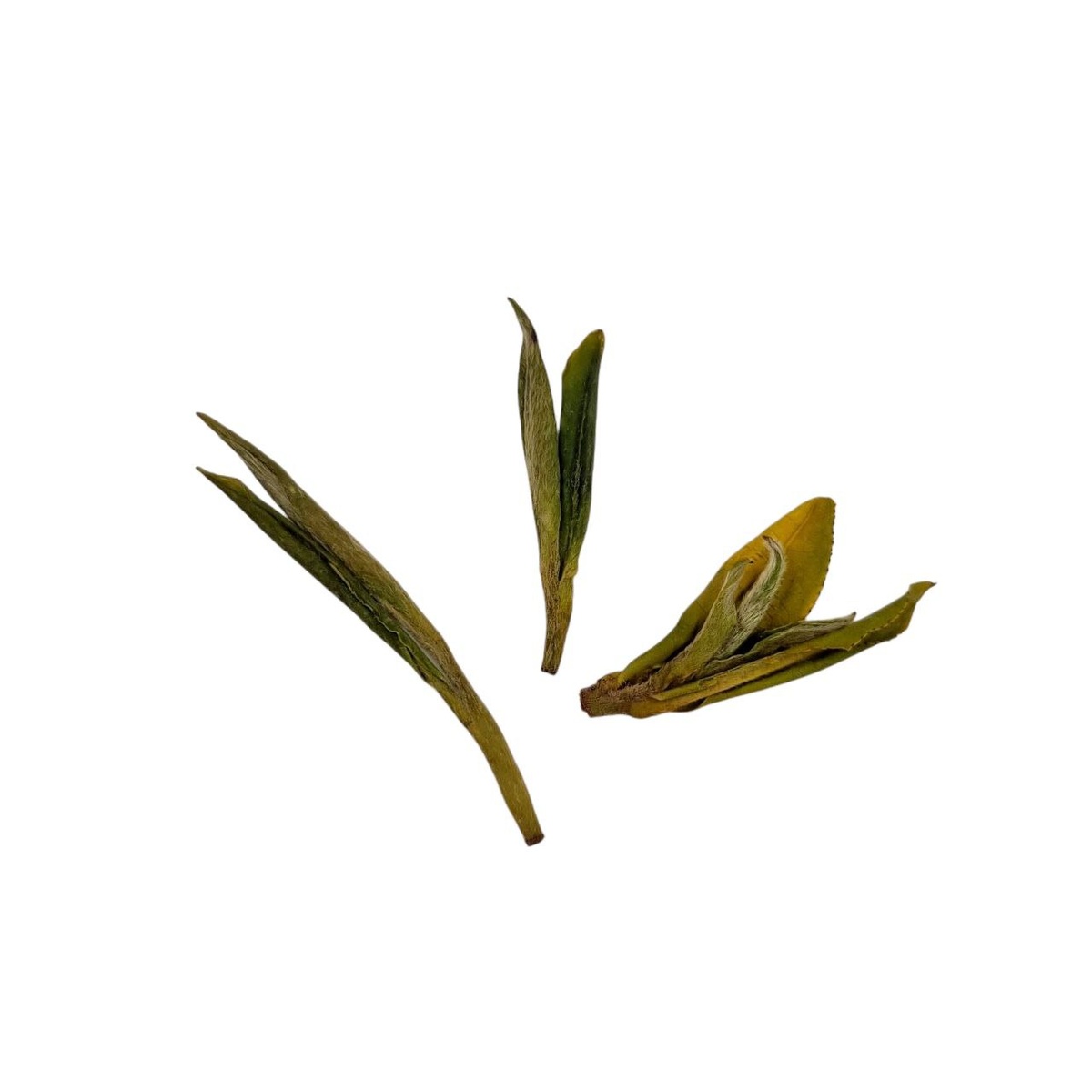 Ань Цзи Бай Ча 2025 (П)