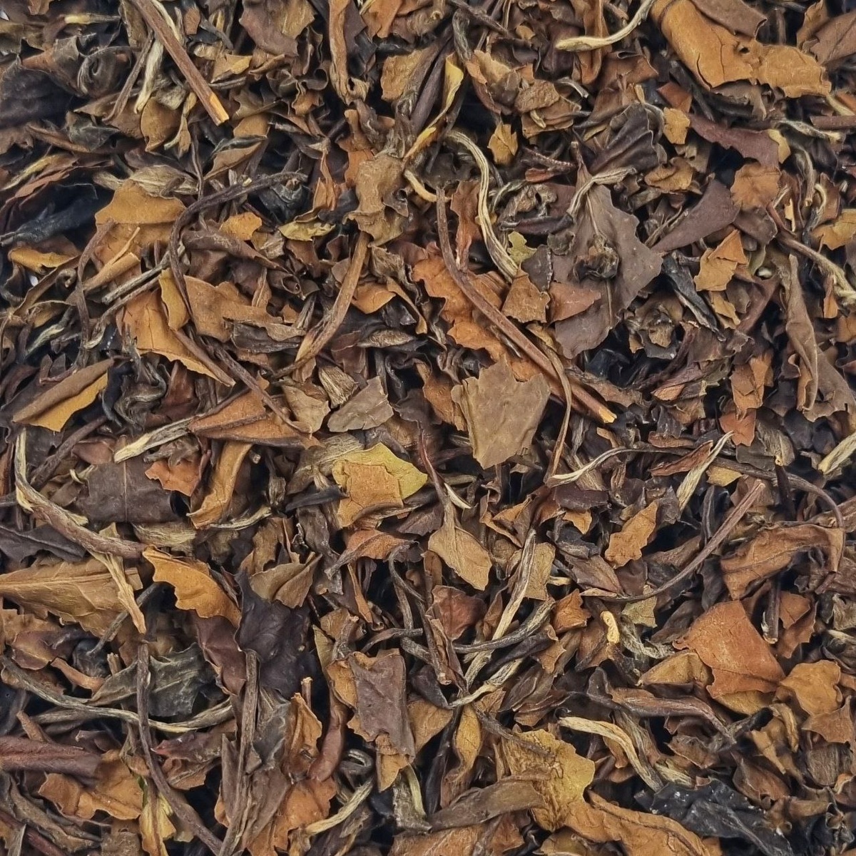 Шоу Мэй 2017 (III)